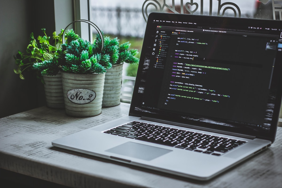 Ordinateur portable affichant du code, plantes vertes dans des pots sur la table.
